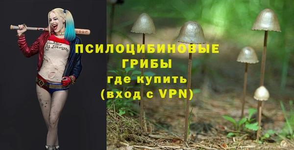 ALPHA PVP Богданович